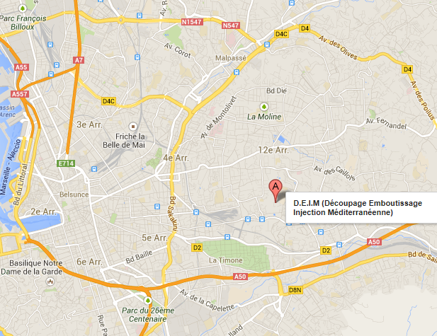 google map